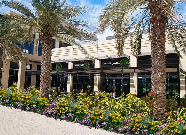 Starbucks - Al Qattara